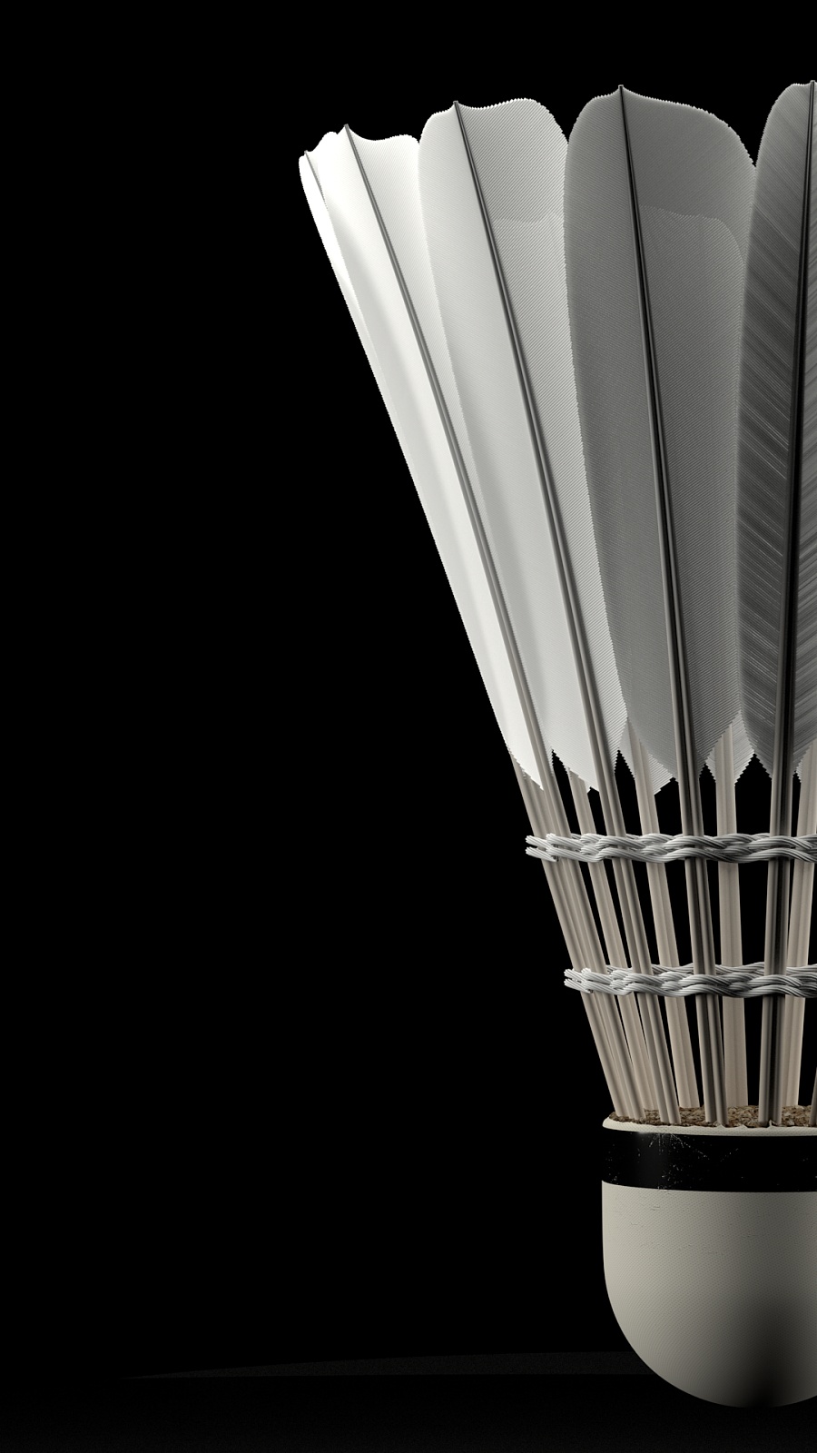 他通过手语 他通过手语