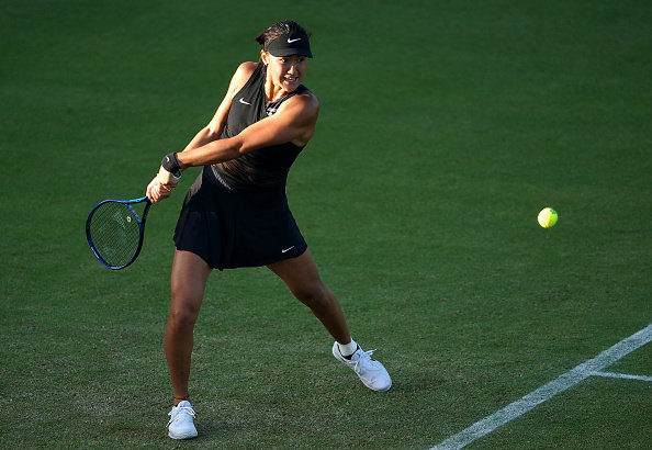 雄鹿的比赛 雄鹿的比赛